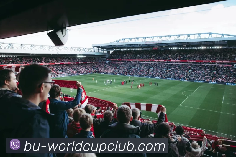 世俱杯线上平台平台生态图