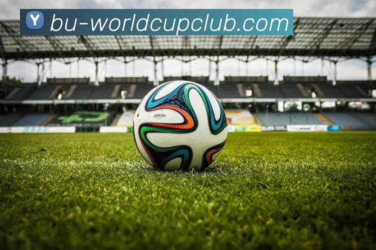 世俱杯线上平台APP 封面图